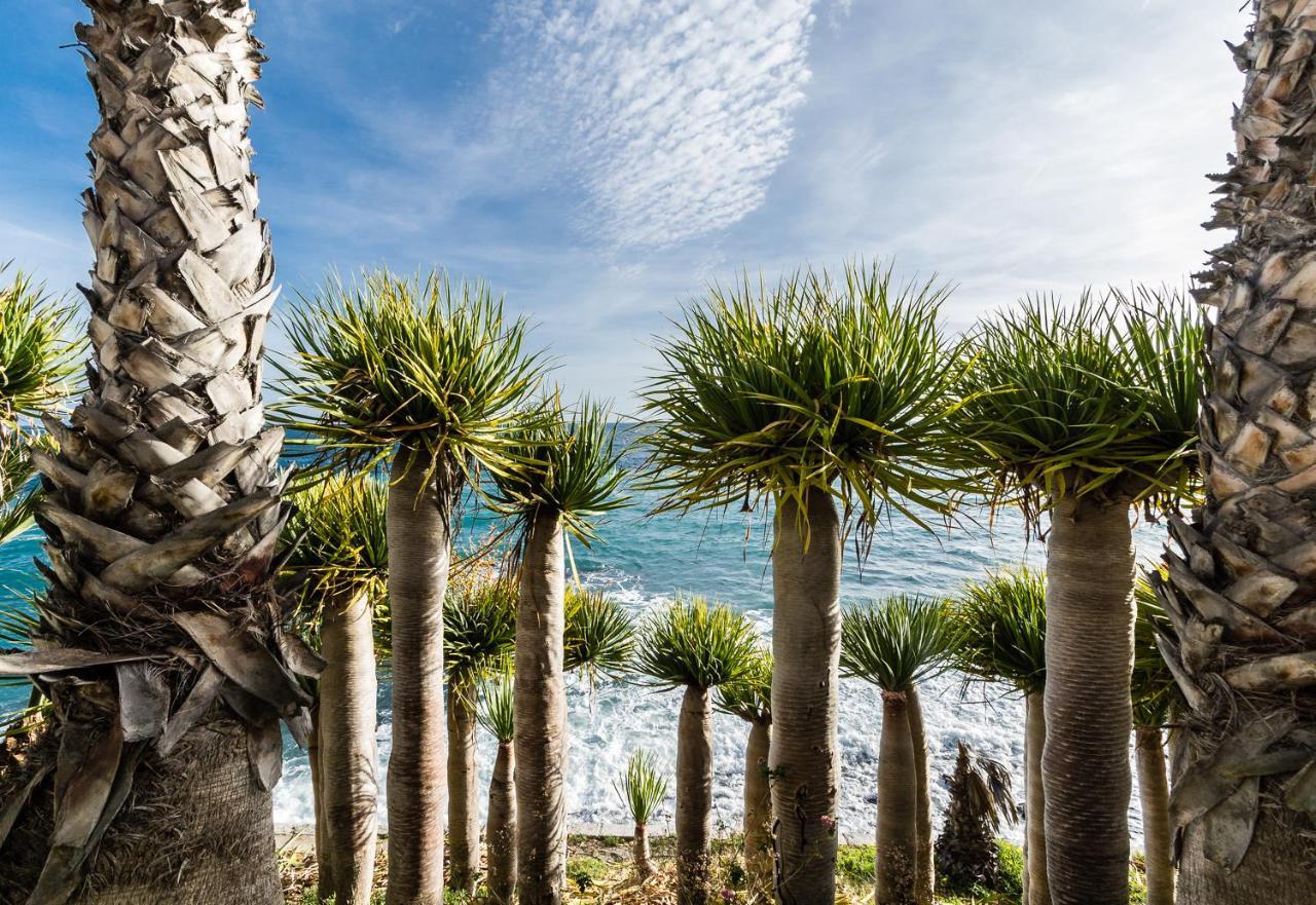 Hostal Tropical Almuñécar Eksteriør bilde