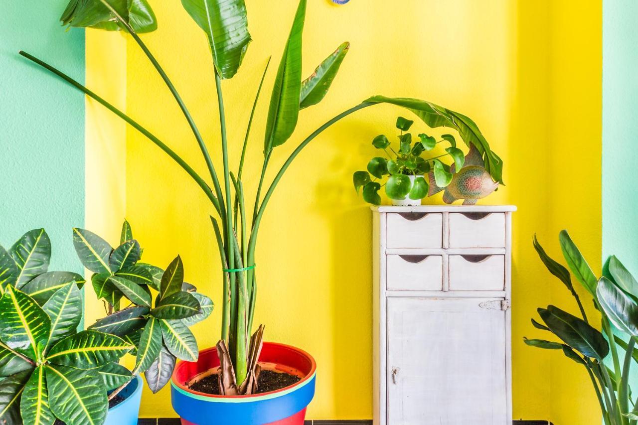 Hostal Tropical Almuñécar Eksteriør bilde