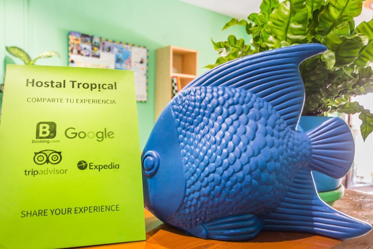 Hostal Tropical Almuñécar Eksteriør bilde